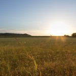 紫外線はちょっと…。 と思われるかもしれませんが、朝日だけでも！