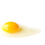 卵の黄身の美しいこと！