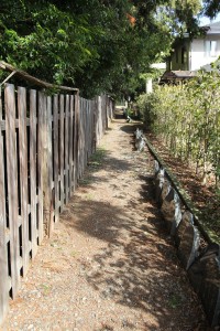ついさっきまで住宅地を歩いていたはずが…。