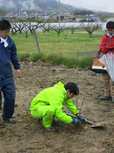 根っこは丁寧に、丁寧に。 絡まないように、土をかけた時にはみ出ないように…