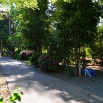 神社から公園をみようとすると背の高い木で隠れていて、神社の厳かさも保てています。