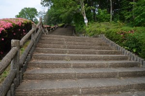 上はこども広場だそうで、少年たちはこんな階段へでもないんでしょうね。