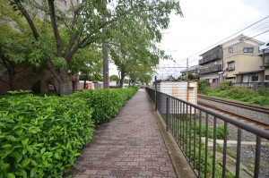 駅からの歩道はこんな感じです。