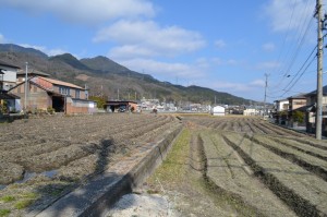 駅の方を振り返るとこんな感じ。 冬だからさすがにさみしいですけど、季節によっては一面緑なんでしょうね。