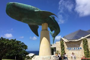 そう！美ら海水族館です！！