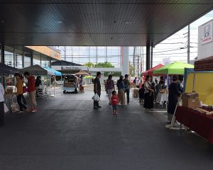 強風はありましたが、雨は降りませんでしたね