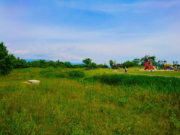 びわこ地球市民の森
