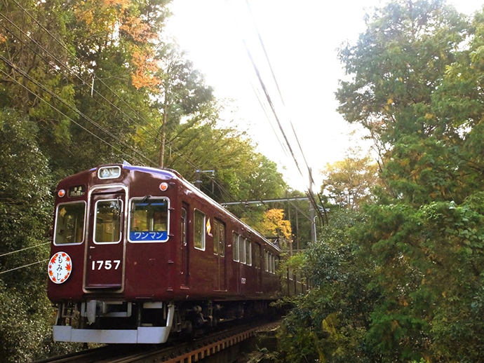 秋の紅葉シーズン