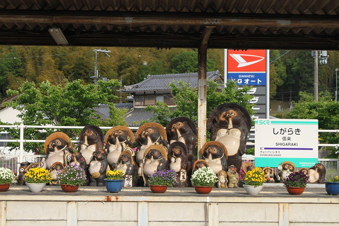 信楽焼のたぬきたち